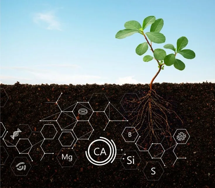 Soil analysis visual